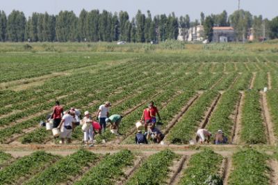 lavoratori campagna