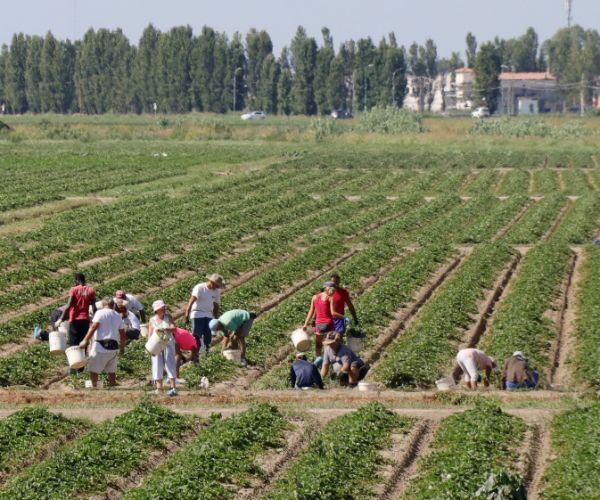Ordinanza Regionale: misure di prevenzione per attività lavorativa in condizioni di esposizione prolungata al sole